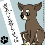 老犬（いぬ）と暮らせば【1】