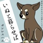 老犬（いぬ）と暮らせば【15】