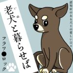 老犬（いぬ）と暮らせば【14】