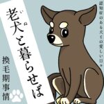 老犬（いぬ）と暮らせば【20】